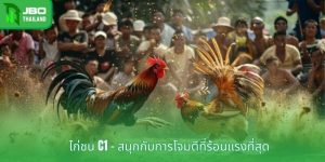 ไก่ชน C1 - สนุกกับการโจมตีที่ร้อนแรงที่สุด
