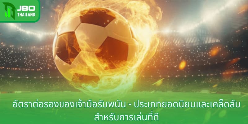 อัตราต่อรองของเจ้ามือรับพนัน - ประเภทยอดนิยมและเคล็ดลับสำหรับการเล่นที่ดี
